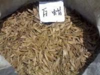 白腊种子_白蜡价格_图片_种植方法_育苗技术